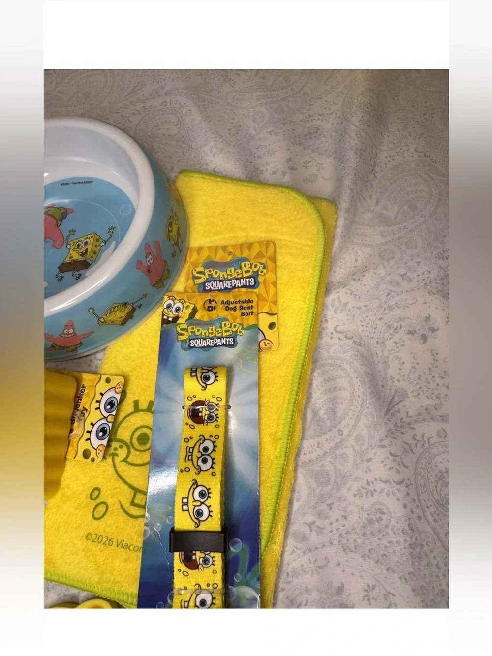 SpongeBob Squarepants Yellow Pet Bowl & Accessory Set